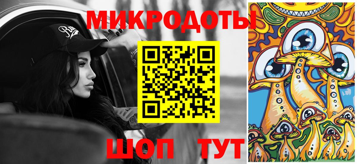 Галлюциногенные грибы Psilocybine cubensis Павлово